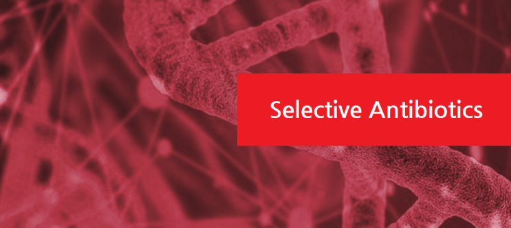  'Selective Antibiotics' 는 (주) 바이오맥스와 함께!