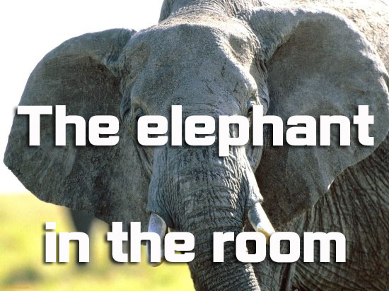  the elephant in the room  모두가 알지만...