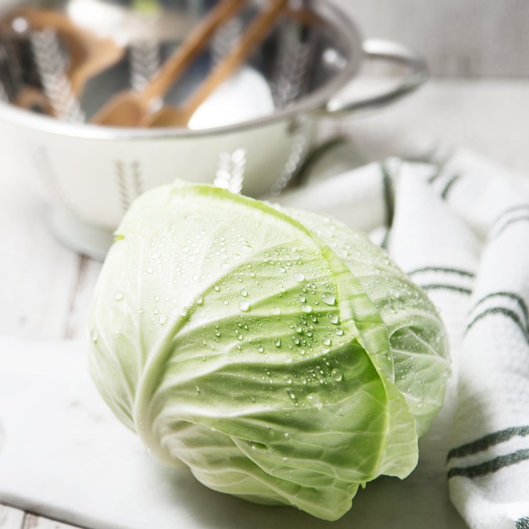  <최저가>친환경인증 양배추, 1.2kg, 1통 꿀정보예요~