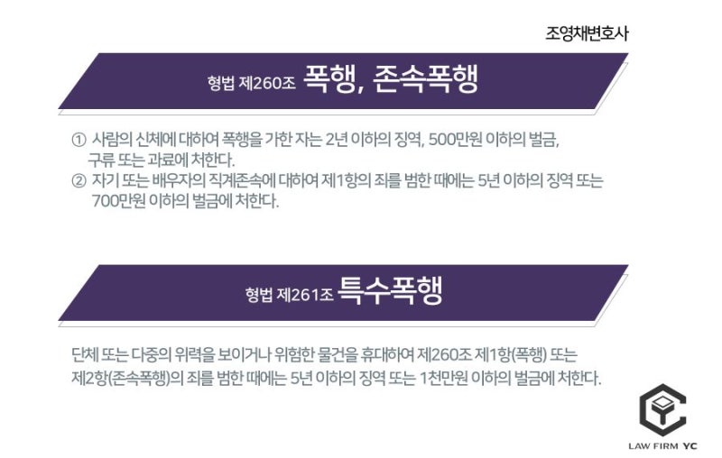 특수폭행 처벌의 구체적인 대응책은