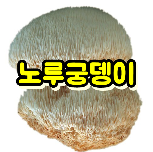  노루궁뎅이버섯 부작용, 효능