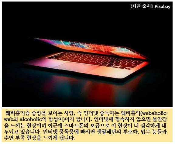  웨바홀리즘 의미와 문제점