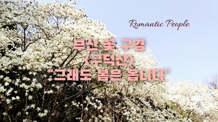 부산 꽃구경<구덕산> 부산 꽃구경<구덕산>