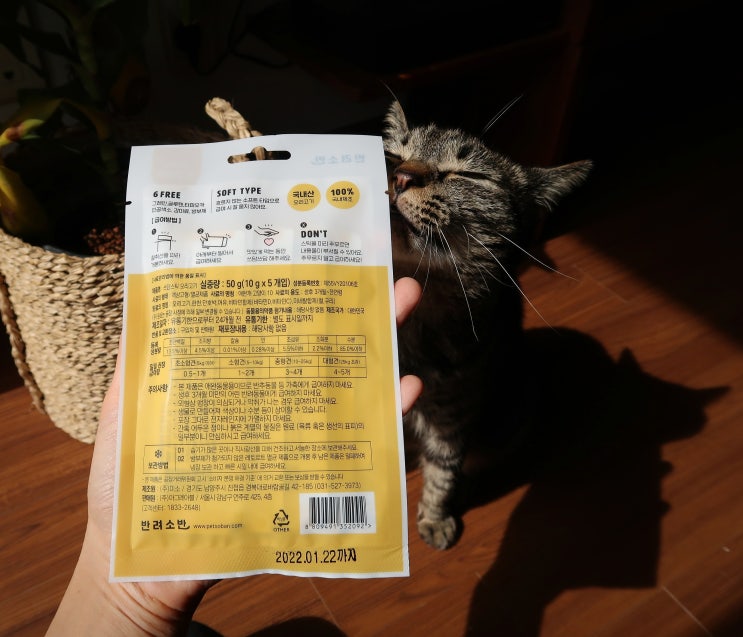  츄르 불신증에 걸린 의심 많은 고양이는 신상 간식 반려소반 쓰담스틱을 먹었을까?