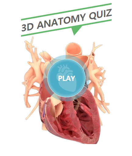3D 퀴즈 게임으로 인체 해부학을 공부할 수 있는 무료 사이트 : 3D ANATOMY QUIZ