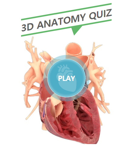  3D 퀴즈 게임으로 인체 해부학을 공부할 수 있는 무료 사이트 : 3D ANATOMY QUIZ