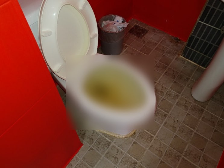  변기에서 물이 역류하고 올라오는 증상은 전문가의 도움을 받아야 합니다