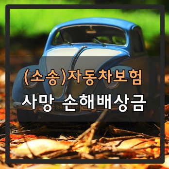  (소송기준) 자동차보험의 사망 손해배상금