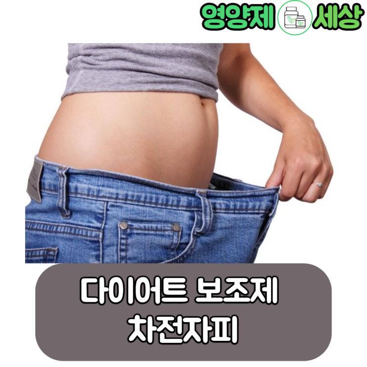  다이어트 보조제 차전자피, 차전자피가루 어떻게 먹고 있나요?