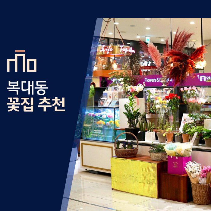  봄이 왔습니다. 청주 복대동 꽃집 추천 '앙풀 플라워'