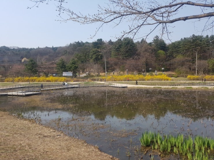  [봉선사 산책] 아빠와 함께