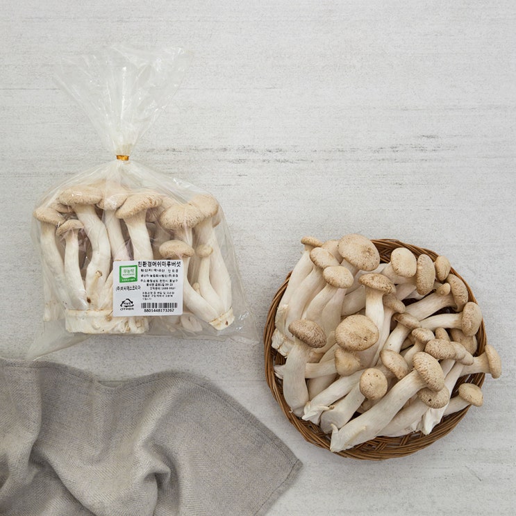 [품절예상][가성비굿]친환경인증 머쉬마루버섯, 600g, 1팩 제품을 놓치지 마세요~~