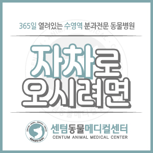  [자차로 오시려면?] 센텀동물메디컬센터 수영역 동물병원