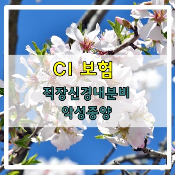  CI보험 직장신경내분비 악성종양