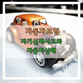  자동차보험-자기신체사고와 자동차상해