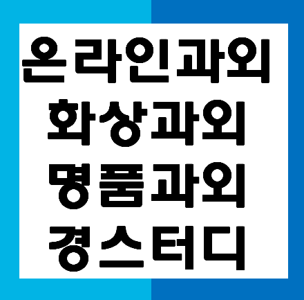 온라인 수업 화상 과외 전문, "경스터디" 대학생 과외가 아닌 전문 과외에게 맡기셔야 합니다. YOGISO 여기서 화상과외