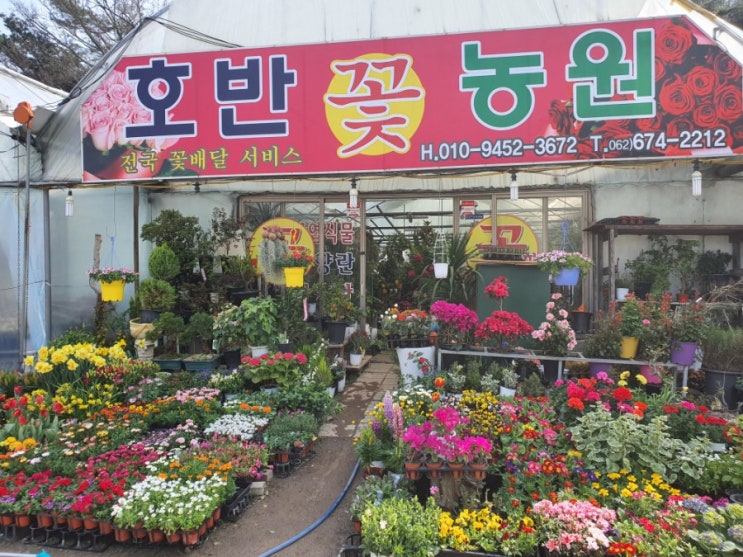  꽃집사장님  시내운전연수/도로운전연수/자동차운전연수/초보운전연수/운전면허