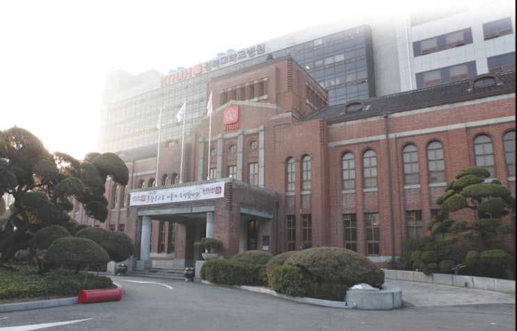 코로나19 감염 국내 의료진 첫 사망 오보 , 내과의사 스탠트 삽입 시술 치료 후 회복중 뜻