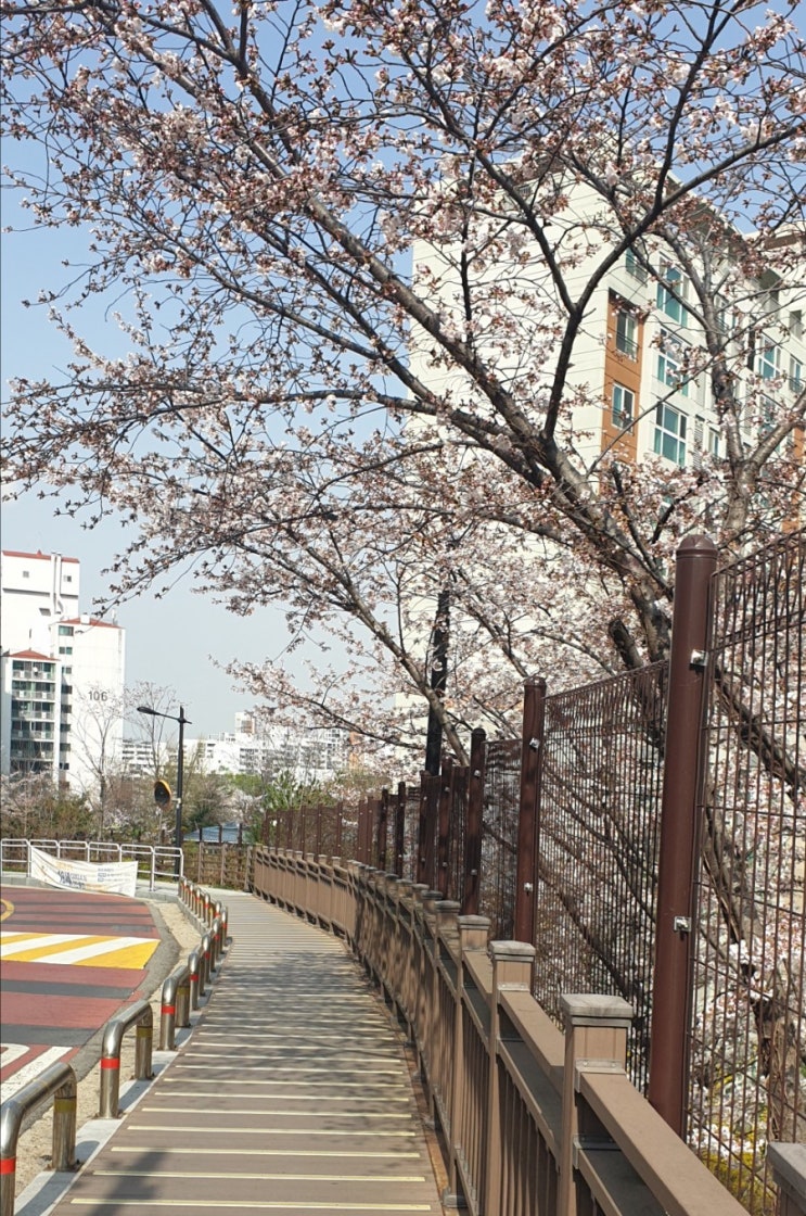  텅 빈 교실