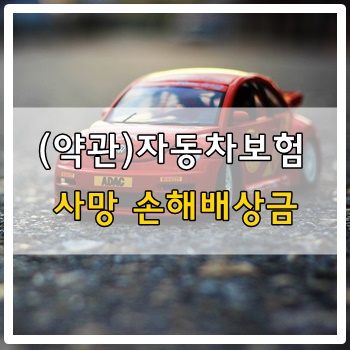 (약관)자동차보험의 사망 손해배상금