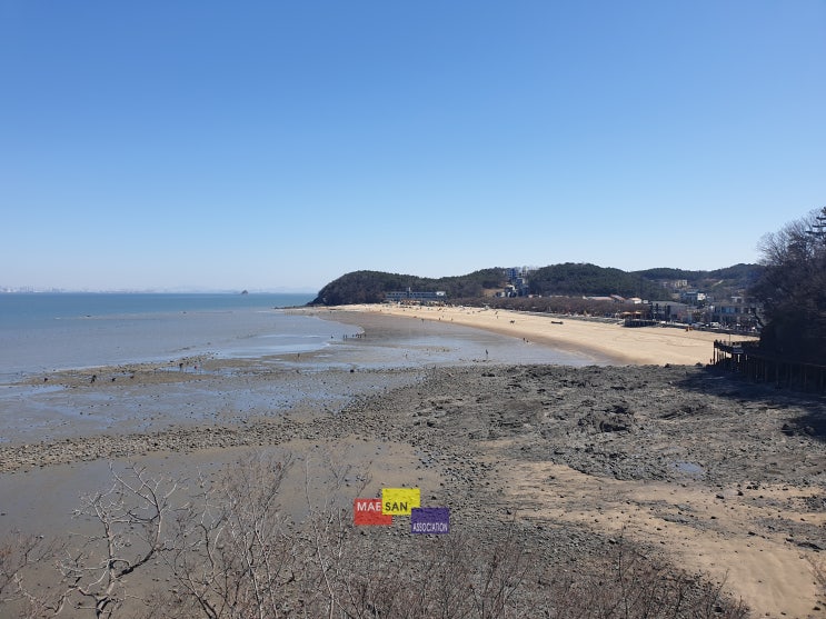 영흥도에서 힐링을! : 영흥도 장경리해수욕장과 십리포해변, 해안산책길까지