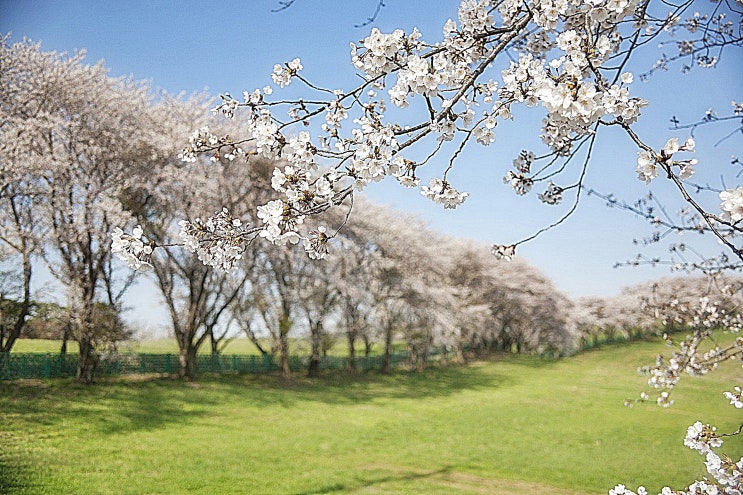  진단2주 상해로 보기 어렵다 본 이유(특수상해판결)