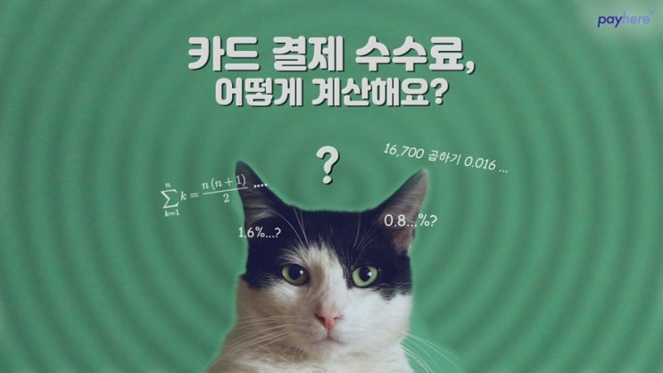  카드 결제 수수료부터 세금까지, 어떻게 계산해요?