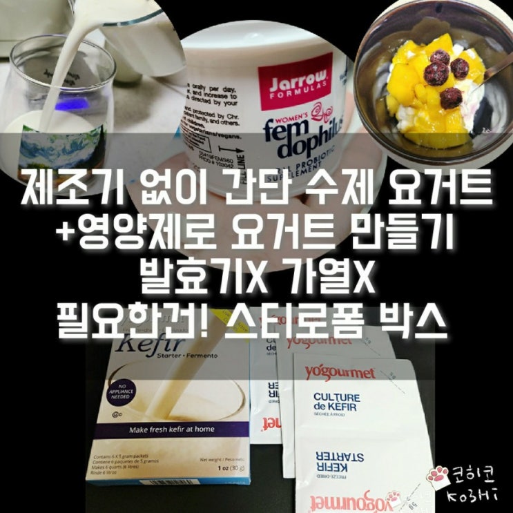  기계없이 수제 요거트 만들기] 재로우 유산균 영양제로 요거트 만들기 vs 생크림 요거트 vs 우유 요거트_비교+용량_사워크림 만들기