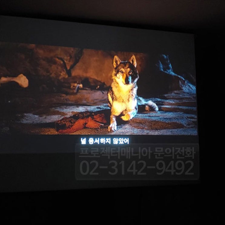  [비비텍 MH3000K] 너무 좋습니다!