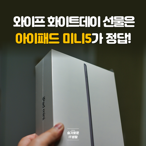  아이패드 미니5 성공적인 와이프 화이트데이 선물