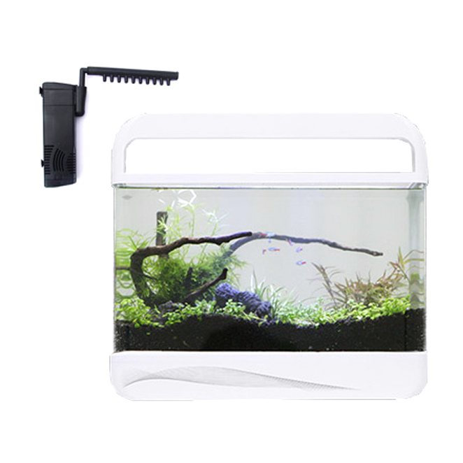 (로켓배송)Amazon 아마존 디지털 아쿠아리움 AMZ-2000A + 측면여과기 3W 수족관 가격정보 (로켓배송)Amazon 아마존 디지털 아쿠아리움 AMZ-2000A + 측면여과기 3W 수족관 가격정보