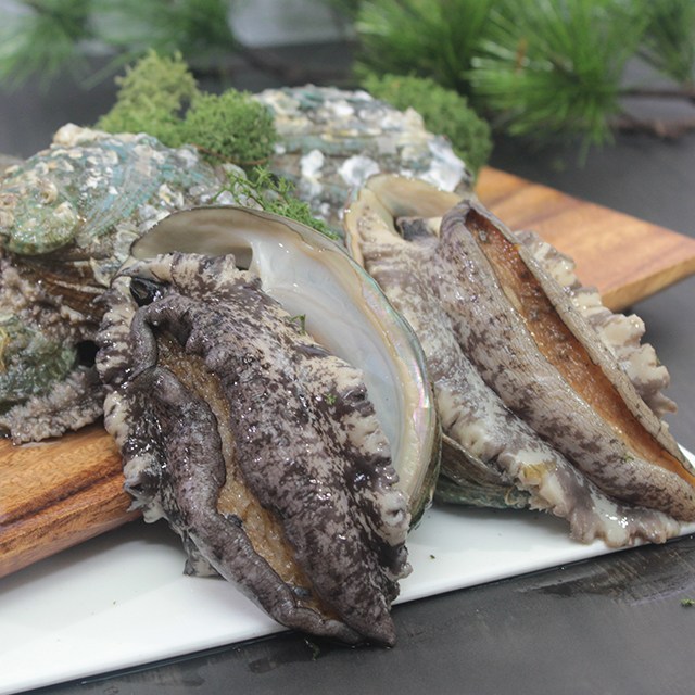  가성비 짱, 자연산전복 - 전복이장 [더싱싱포장 손질칼증정]참전복 횟감10마리  (With 김원성 소식)