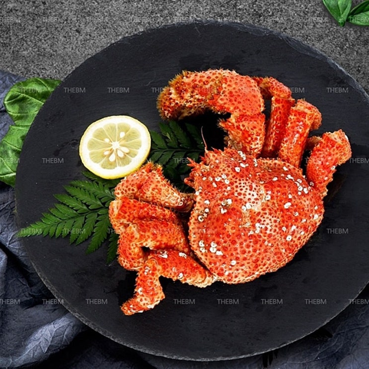프라우스타 베이비 킹크랩 1kg (2마리) - 남극 청정해역 조업 (4분 조리), 1개 가격정보 프라우스타 베이비 킹크랩 1kg (2마리) - 남극 청정해역 조업 (4분 조리), 1개 가격정보