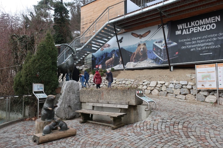 #059. 알펜 동물원(Alpenzoo)에서 만난 겨울왕국의 스벤(Sven)