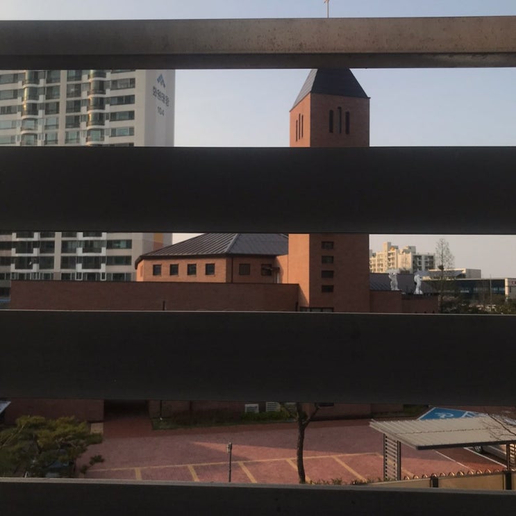  입원(록)일기 2