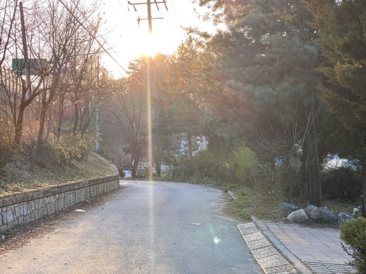  소중한 일상