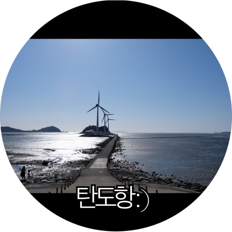  [안산 가볼만한곳]탁트인 주변보면 바로 힐링 각! 탄도항 데이트 : )
