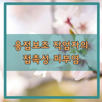  용접보조 작업자의 접촉성 피부염!