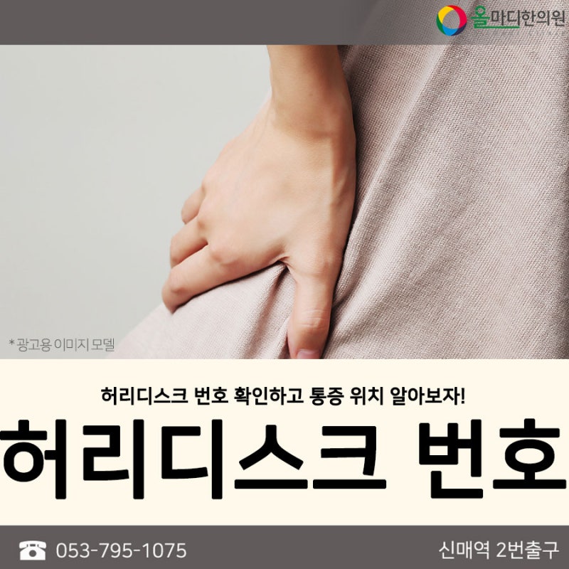 허리디스크 번호 확인하고 통증 위치 알아보자!