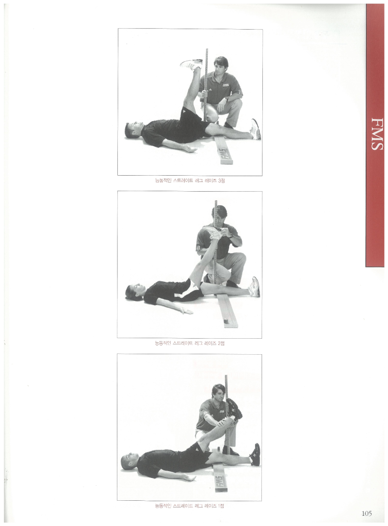 Active straight leg raise fms store
