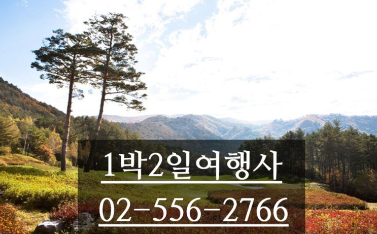  평창 용평cc 1박2일 골프요금 버치힐cc 골프클럽 GC  가격 한번 알아 볼까용~