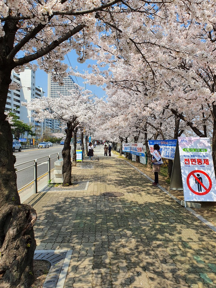  신림역에서 여의도까지 따릉이 타고 가보기
