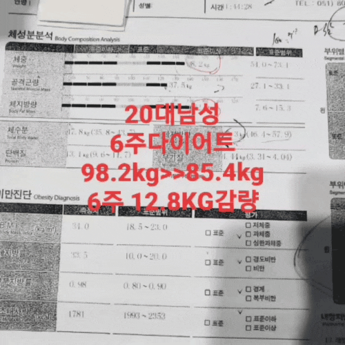  다이어트합숙소 6주다이어트 입소후기 인바디결과