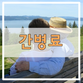  간병료