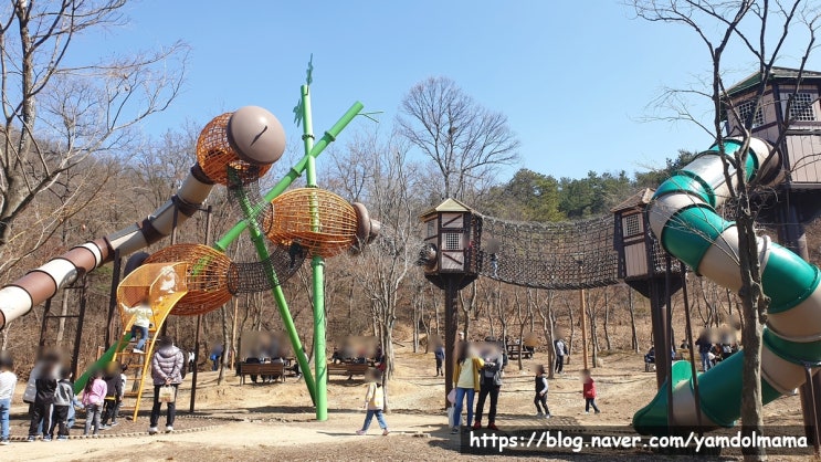  세종 가볼만한 곳 숲놀이터가 있는 파랑새유아숲체험원