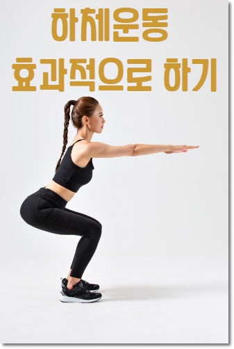  하체운동 효과적으로 하기