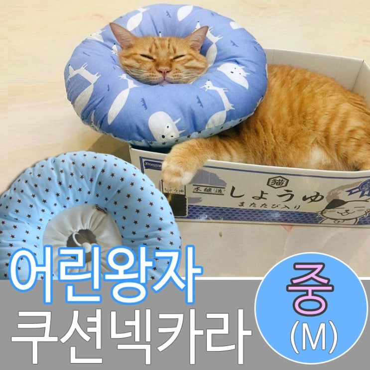 모모기프트 어린왕자 쿠션넥카라 M(중), 1개 가격정보 모모기프트 어린왕자 쿠션넥카라 M(중), 1개 가격정보