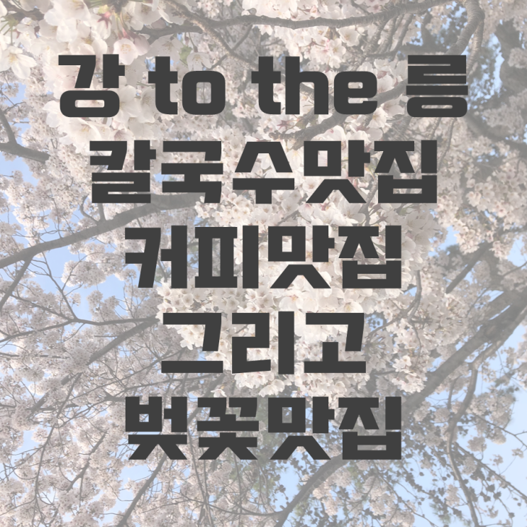  벚꽃, 매년 피는데 왜 매년 설렐까