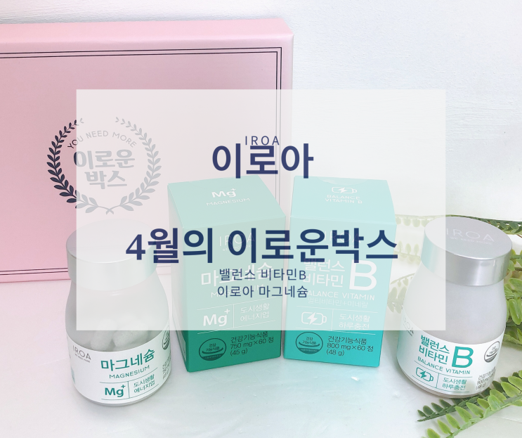  이로아 이로운박스 면역력 높이는 영양제 선물로 최고
