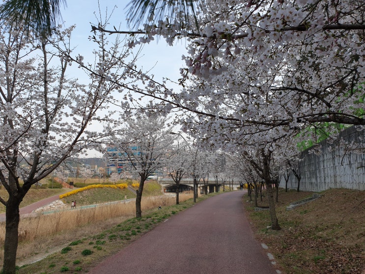 봄처녀 바람났네. 바람났어. 사월이의 사월이 왔어요.